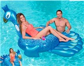 扶风水上浮具
